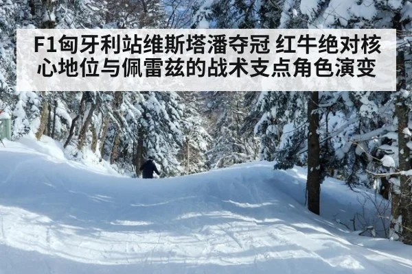 F1匈牙利站维斯塔潘夺冠 红牛绝对核心地位与佩雷兹的战术支点角色演变