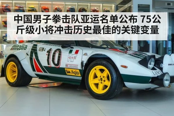 中国男子拳击队亚运名单公布 75公斤级小将冲击历史最佳的关键变量